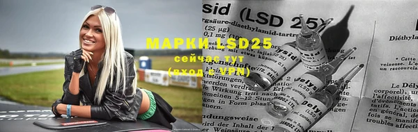 гидра Березники