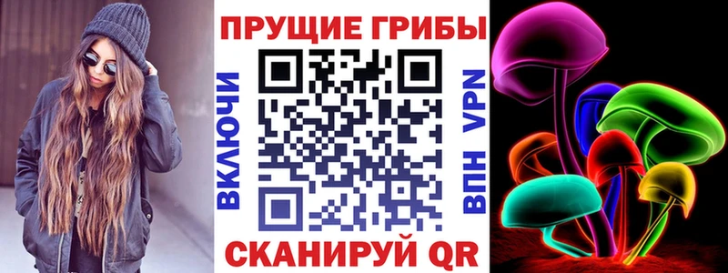 Галлюциногенные грибы GOLDEN TEACHER  Купить где  Мышкин 